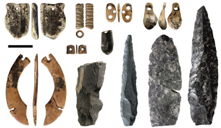 sediment DNA reveals a 300,000-year timeline of ancient and modern humans living in Siberia