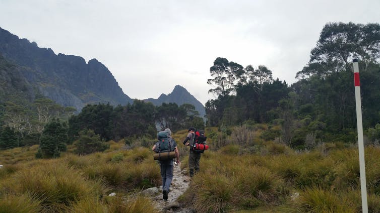 Two hikers on a grassland trail