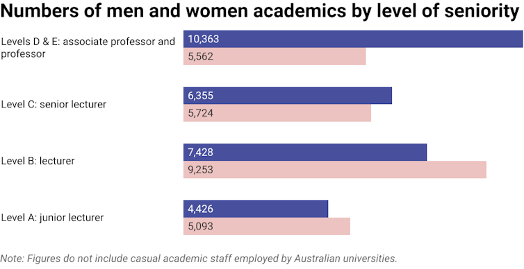 Chart of numbers of men and women employed as academics by Australian universities at different levels of seniority