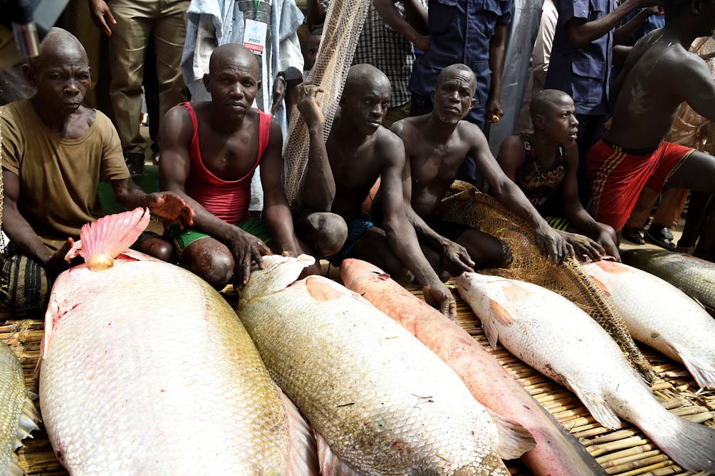 How illegal fishing harms Nigeria and what to do about it