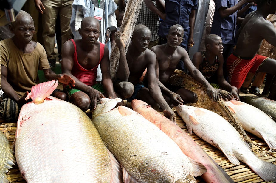 Fishermen display their catch at the revived Argungu fishing and cultural festival at Argungu Town, Kebbi State in northwest Nigeria, on 14 March 2020.