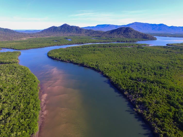 Friday essay: reckoning with an animal that sees us as prey — living and working in crocodile country