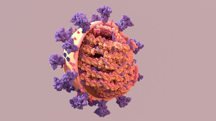 3D rendering of the SARS-CoV-2 virus