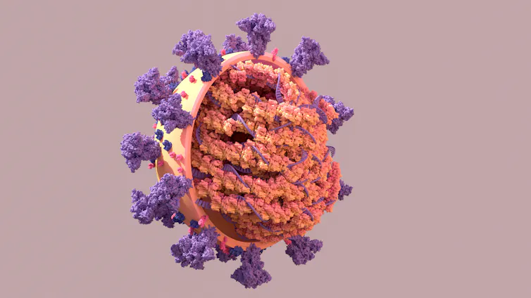 3D rendering of the SARS-CoV-2 virus