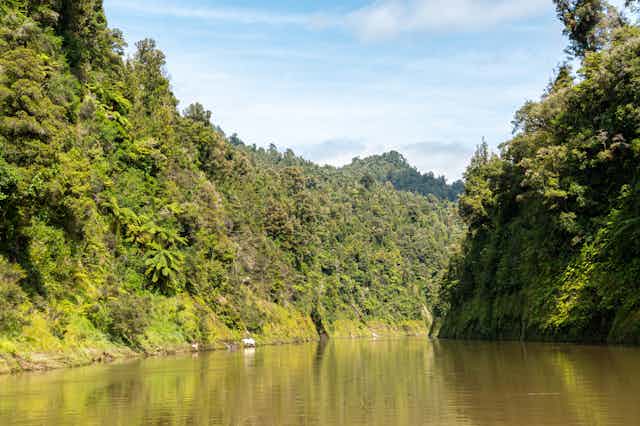Whanganui River and surrounding forest