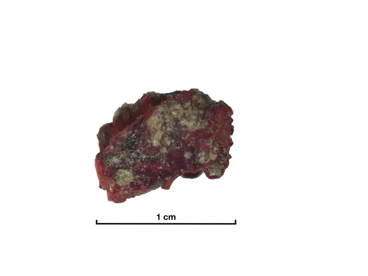 A red glassy rock around one centimetre long
