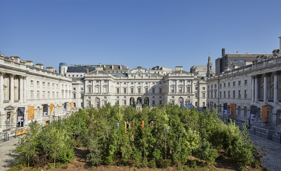 Forest in the courtyard of Somerset House
