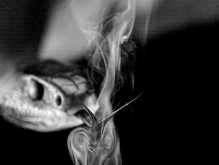 Una serpiente moviendo su lengua a través de un velo de humo creando dos remolinos