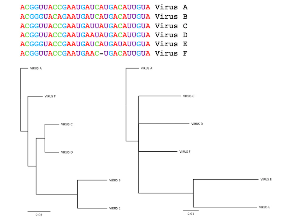 How virus detectives trace the origins of an outbreak – and why it’s so ...