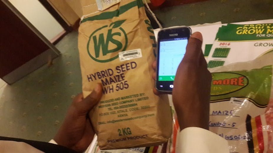 One hand holding a packed of maize seed and another hand holding a mobile phone to check validity of product