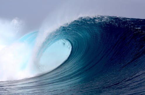 Power from the ocean: can we use bio-fouling organisms to help extract energy from waves?