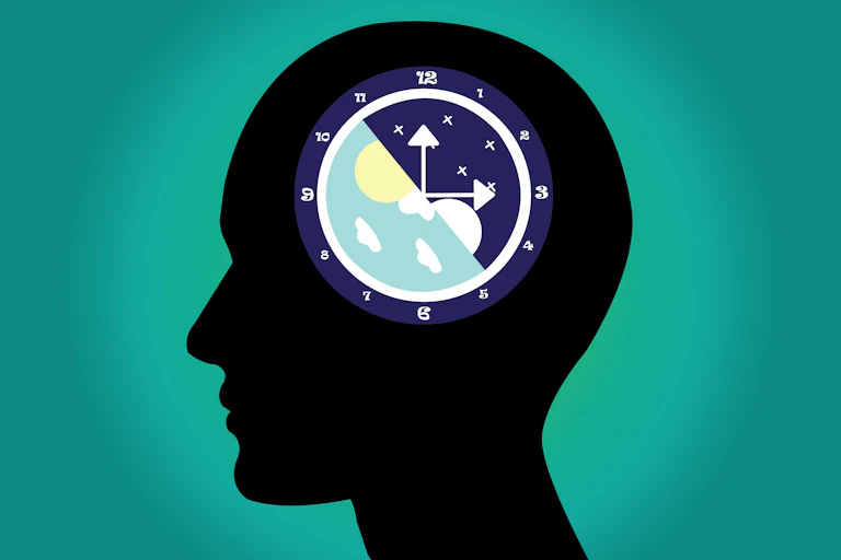 Illustration of the body clock that exists inside every person.