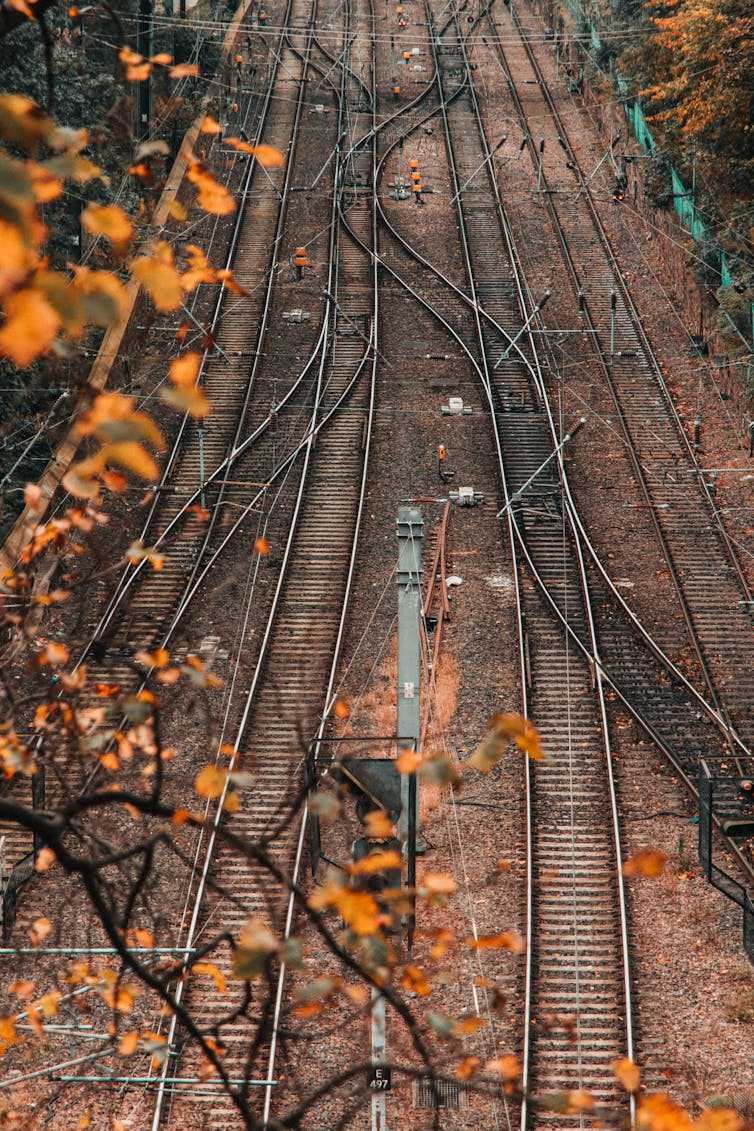 Train rails crisscross in an autumn landscape