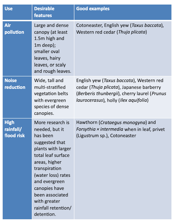 Table showing best hedge varieties to plant in an urban garden for specific uses such as noise and air pollution and flood risk.