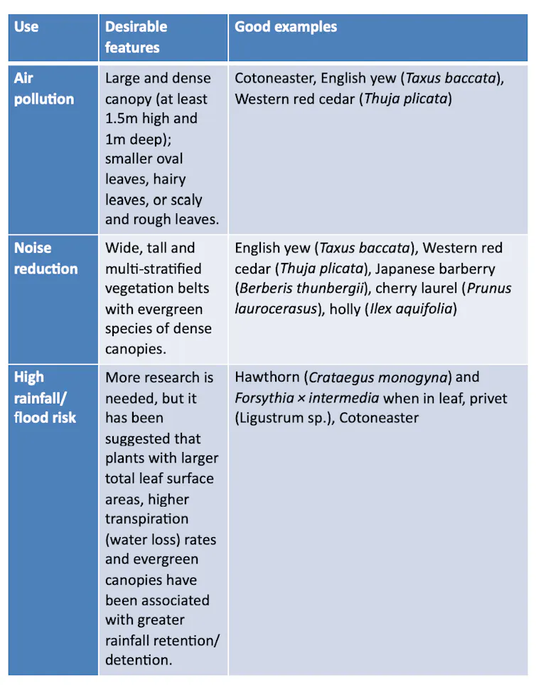 Table showing best hedge varieties to plant in an urban garden for specific uses such as noise and air pollution and flood risk.