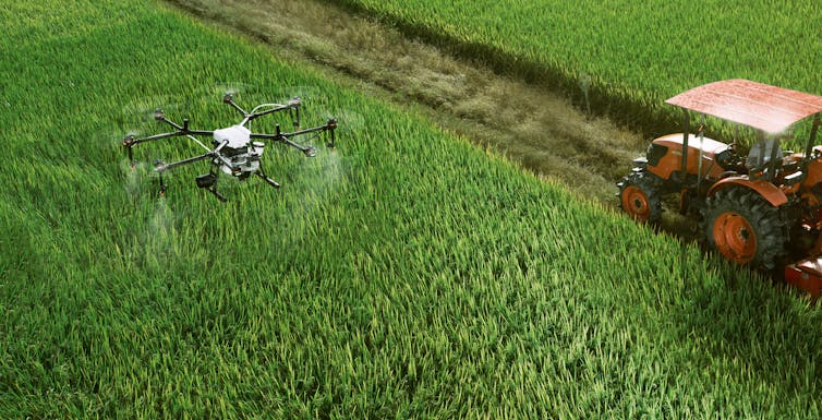 Don volando sobre un campo de cultivo