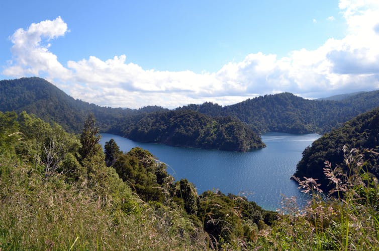 Te Urewera National Park showing hills and lake