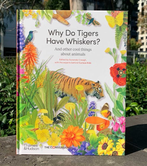 Celebrate the launch of our Curious Kids book, Why do Tigers Have Whiskers?