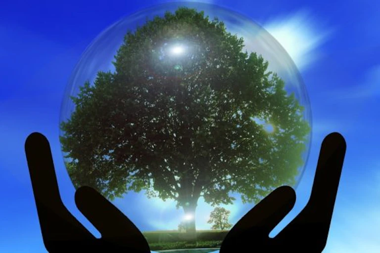 An image of tree in a bubble.