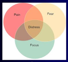 Venn diagram showing the intersection of pain, fear, and focus is distress