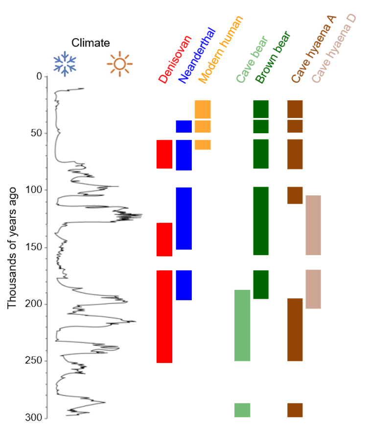 sediment DNA reveals a 300,000-year timeline of ancient and modern humans living in Siberia
