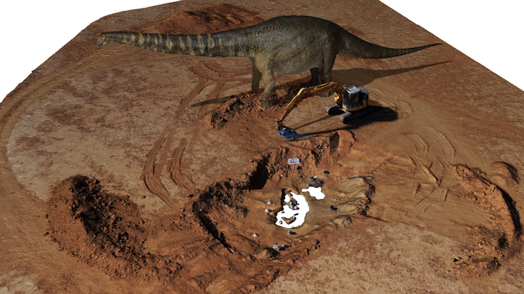Australia's largest dinosaur yet spanned the length of 2 buses