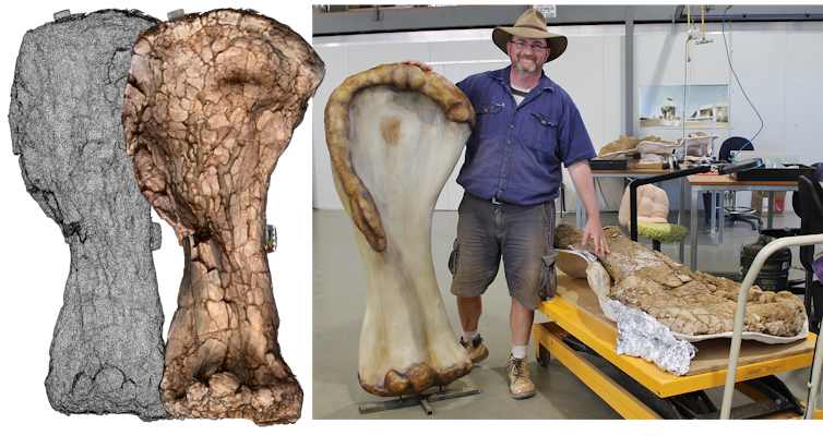 Scientist standing next to reproduction bone nearly as tall as he is.