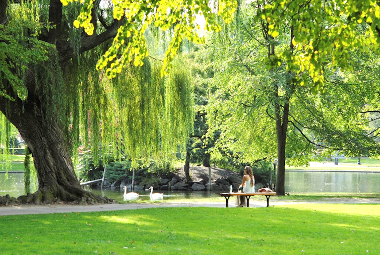 Woman sits alone on a bench next to lake and trees in a park