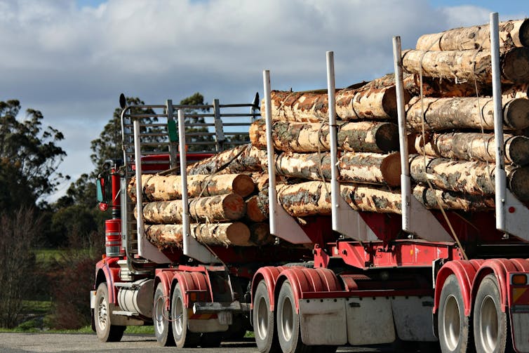 logs on a truck
