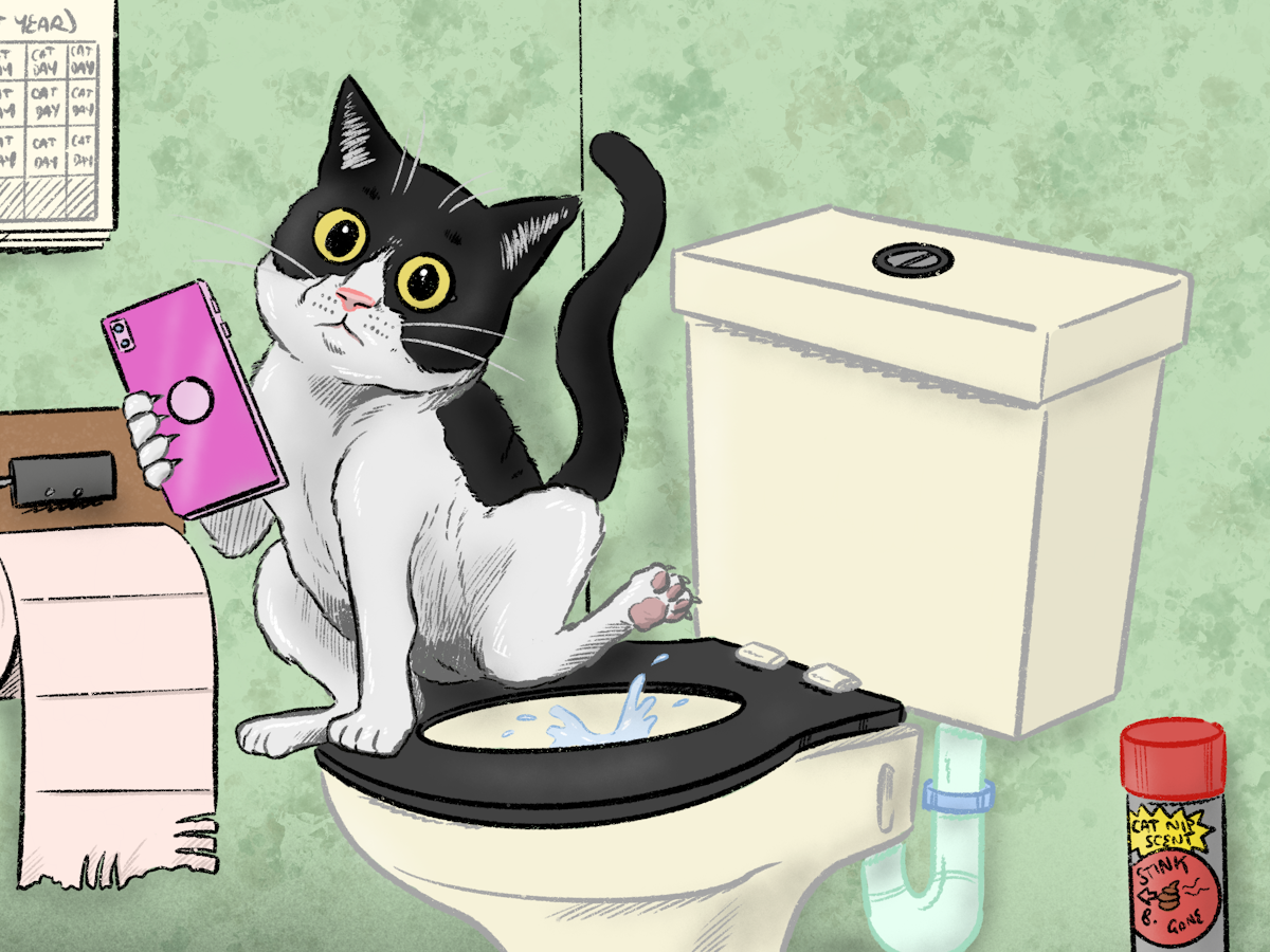 Cat litter flush down toilet Clearance