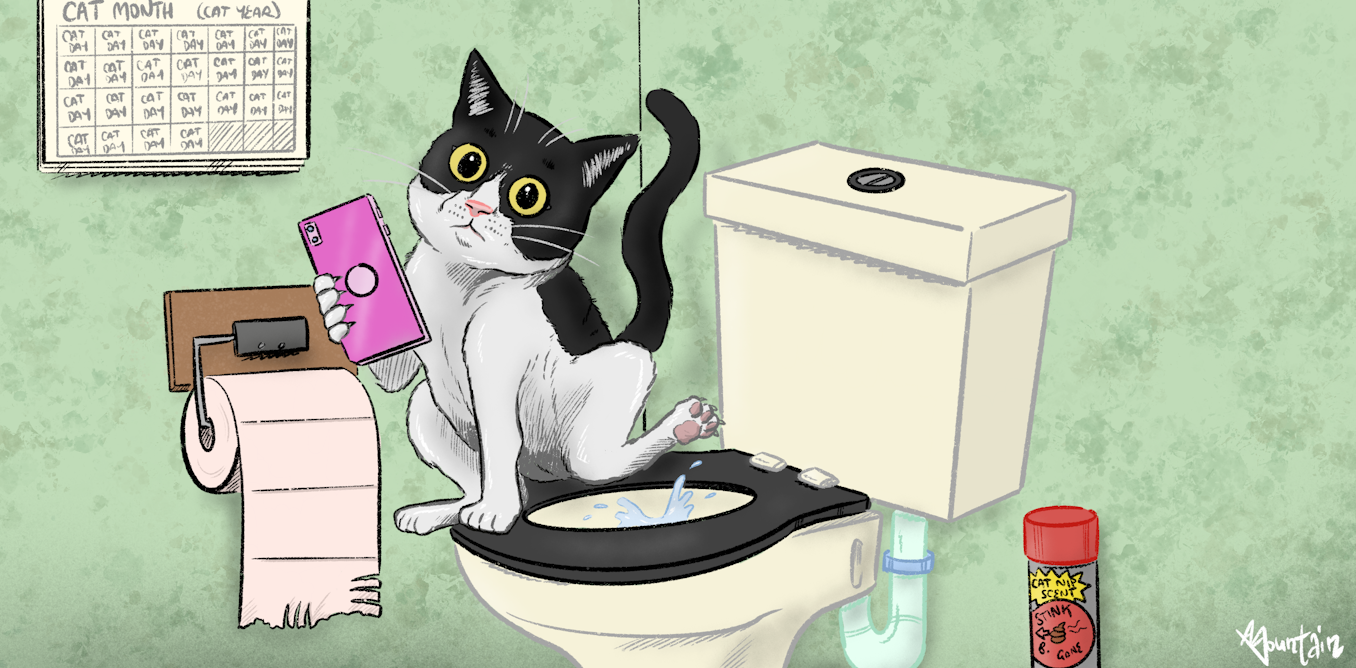 I ve always wondered can I flush cat poo down the toilet