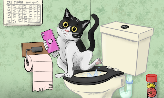 A cartoon of a cat sitting on the toilet, reading its phone, with a splash coming up from the bowl