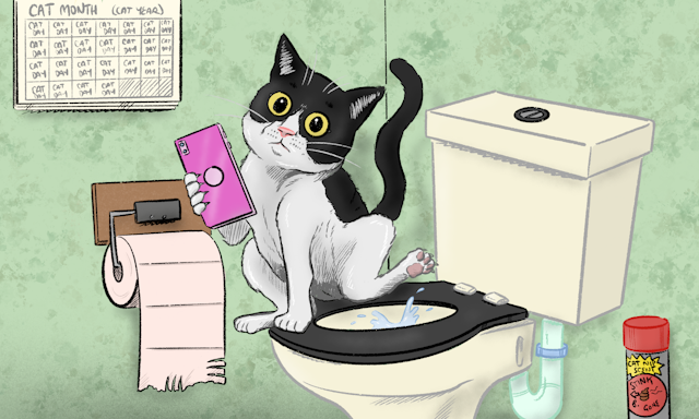 Can i flush cat poop outlet