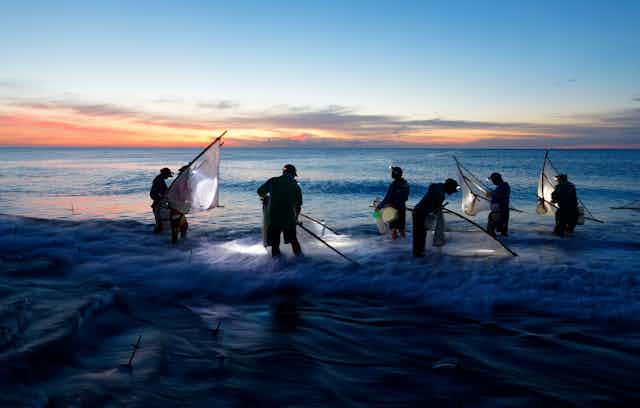 Taiwanese fishers using traditional triangle nets in shallow seawater