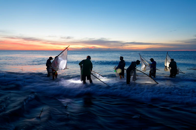 Taiwanese fishers using traditional triangle nets in shallow seawater