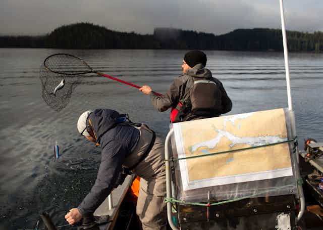 Deux hommes pêchent le saumon au filet