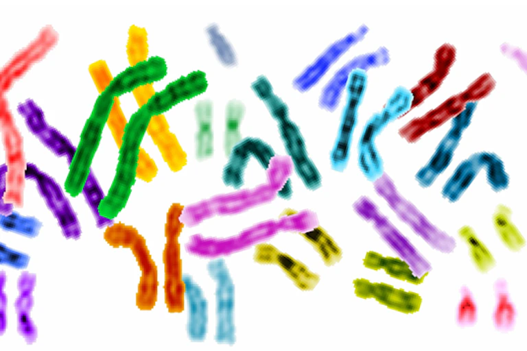 Human chromosomes
