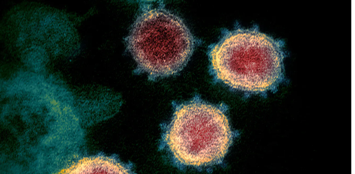 Coronavirus variants can evade...