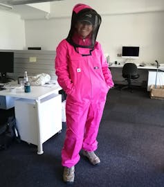 backlash against TikTok's bee lady not justified, say bee experts