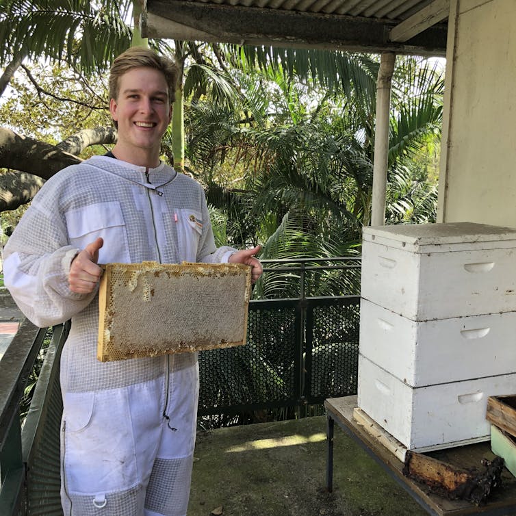 backlash against TikTok's bee lady not justified, say bee experts