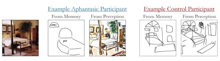 À gauche, une image montrée aux participants et à droite, des exemples de leurs dessins.