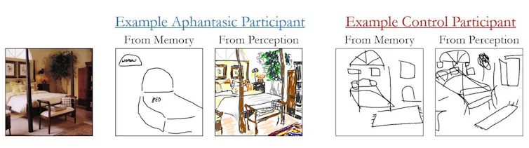 A picture on the left that people were shown, and examples of their drawings on the right.