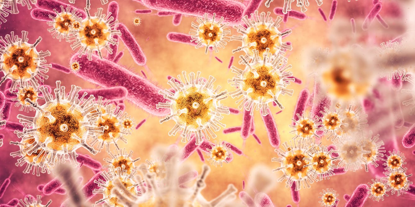 Viruses Can Help Us as Well as Harm Us