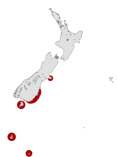 A map of New Zealand with yellow-eyed penguin colonies highlighted in red.