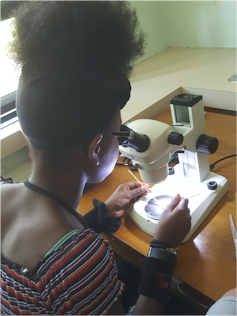 A young girl looks at a mosquito through a microscope.