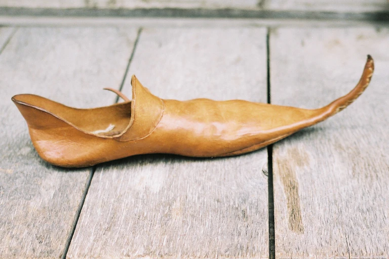 A pointy shoe