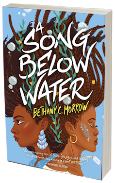 The cover art for the book 'A Song Below Water'.