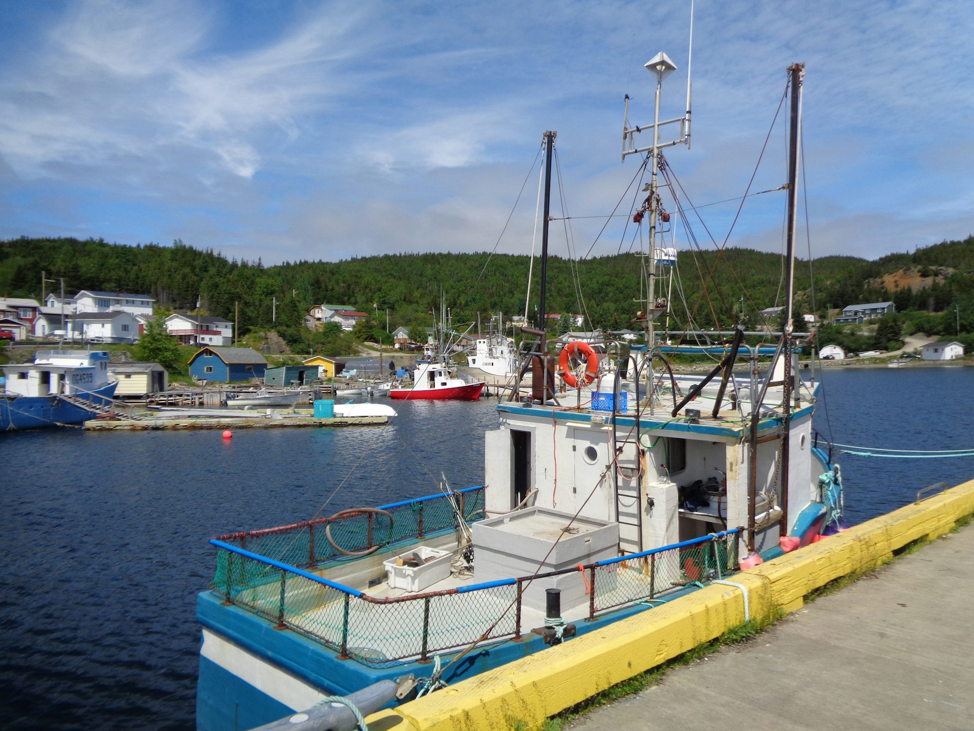 A blue and white fishing boat in a rural Canadian harbour.