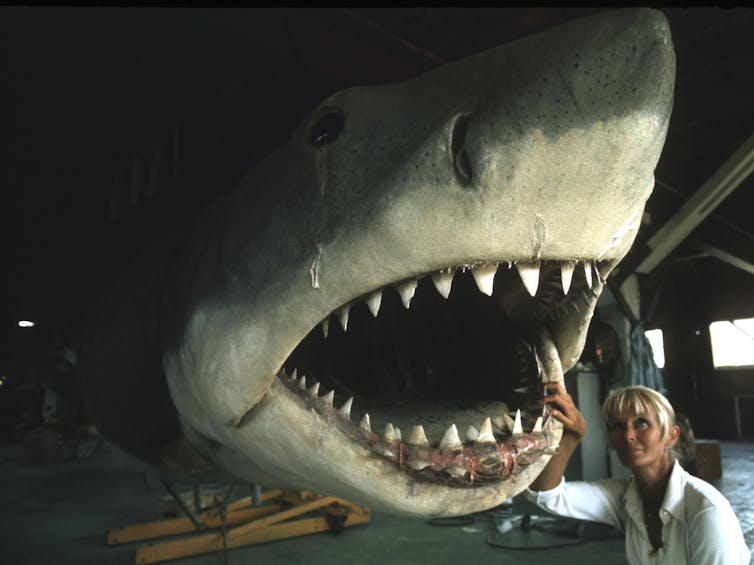 woman with huge shark model