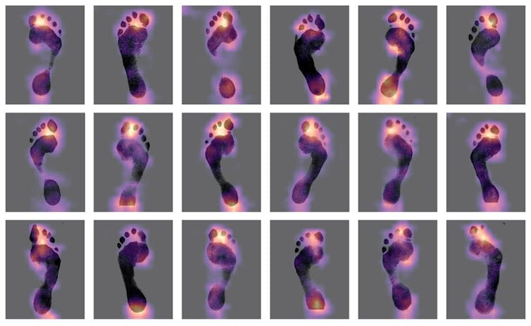 A series of footprints with a heat map over them.